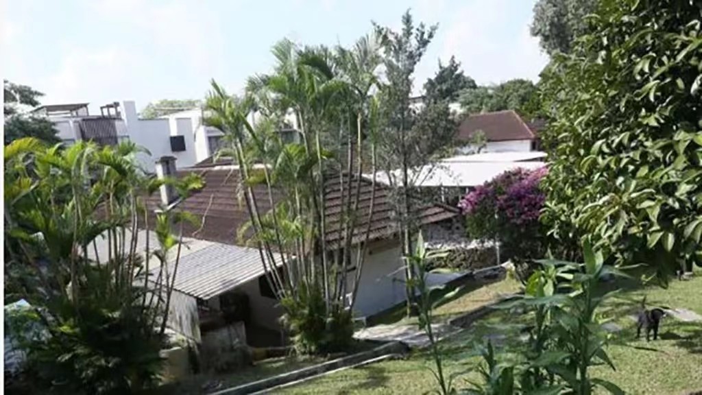 江苏南京19岁少年骗40岁富婆,男子靠吃软饭骗到富婆2亿遗产