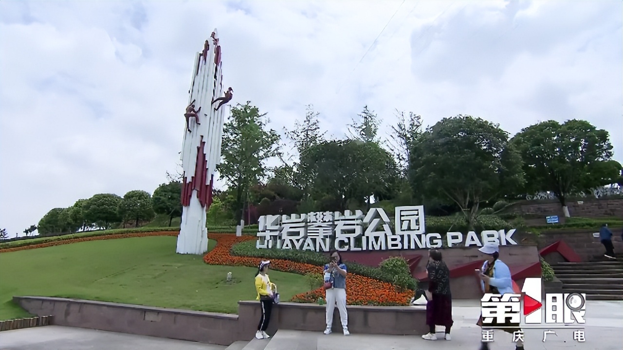 期待已久的三角梅绚丽多彩,街边的红紫三角梅艳丽开放