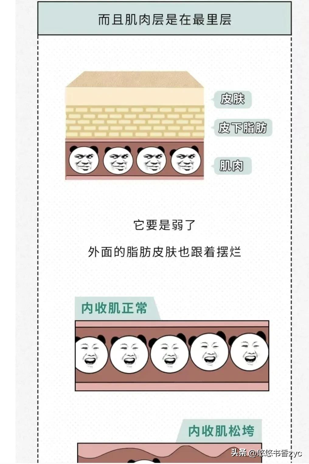 大腿为什么会胖粗,大腿根粗胖是为什么