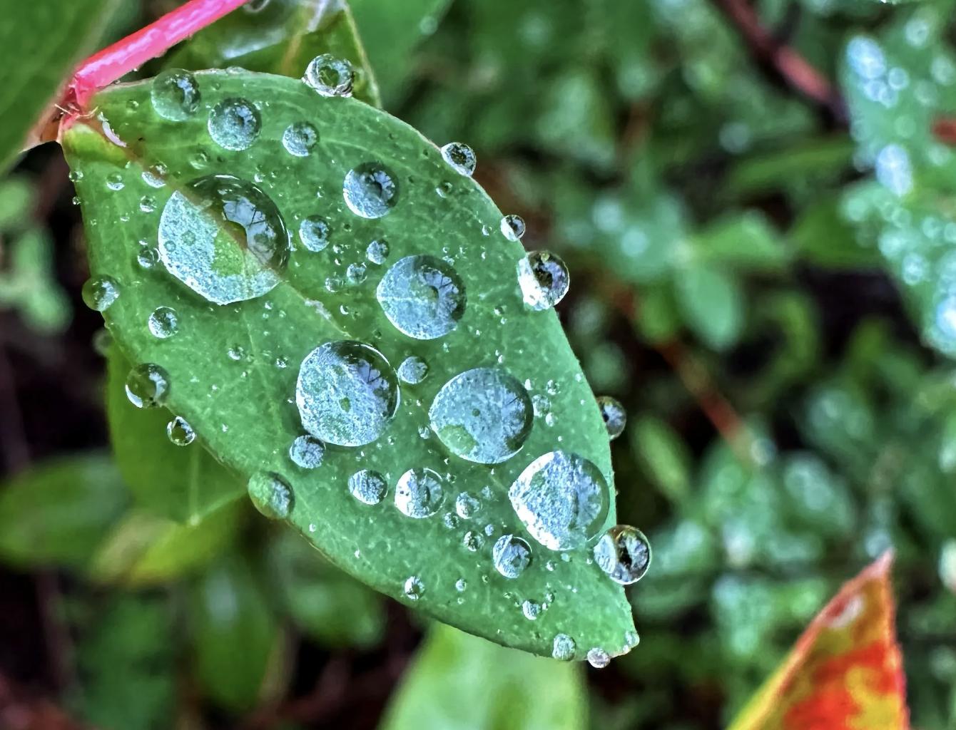 最好的相机和拍照最好的手机对比,手机拍照比较高清的手机推荐