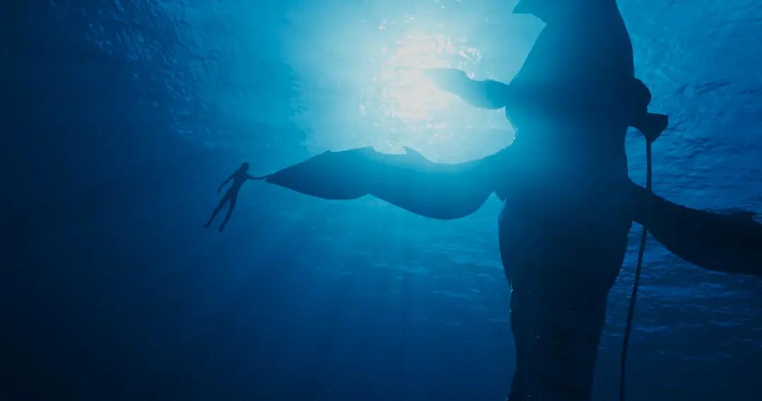 阿凡达2裸眼3d会成为现实吗,阿凡达2不如预期