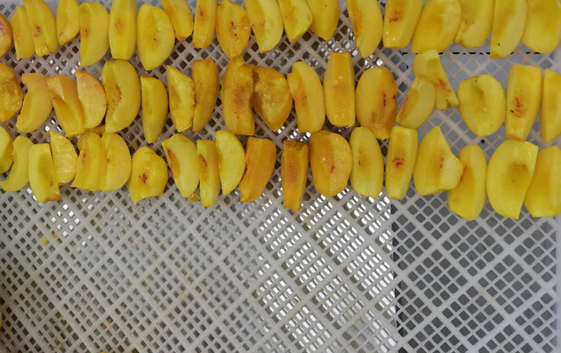 烘干机烘干桃子,负压式桃子烘干机