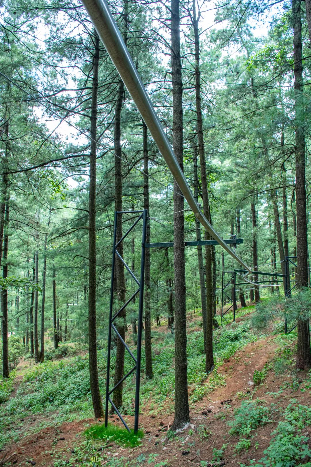昆明旅游攻略一日游景点推荐理由,昆明玩耍推荐景点一日游攻略图