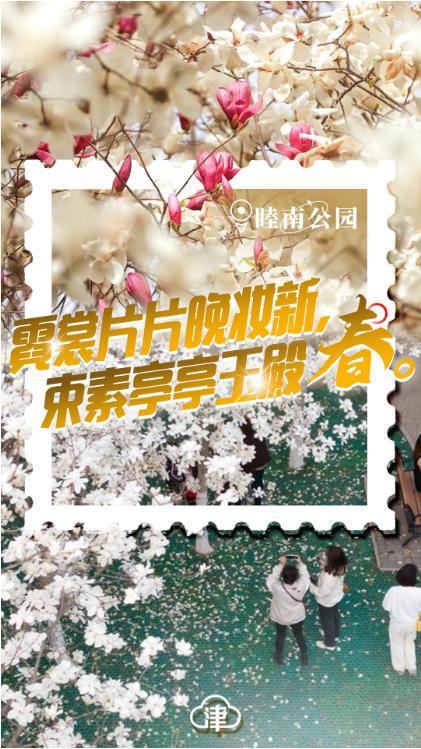 四月的天津,四月初的天津