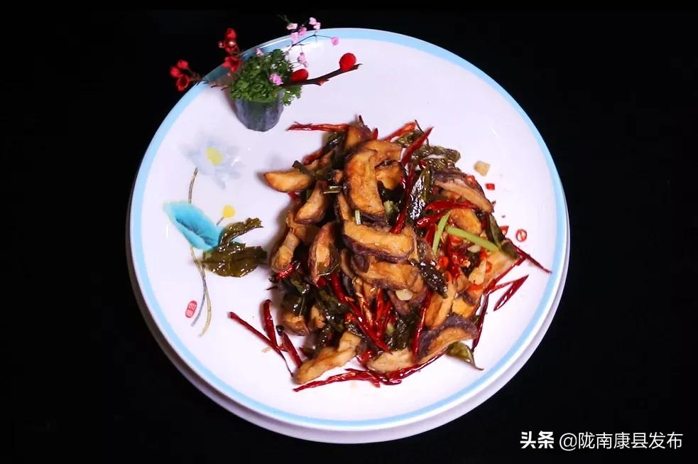 康养旅居风景区,康县康养小镇