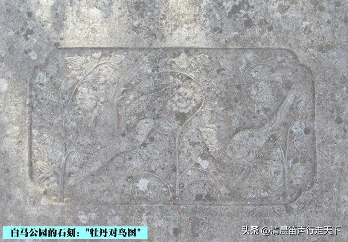 白马公园白马石刻朝代,公园石刻精品欣赏