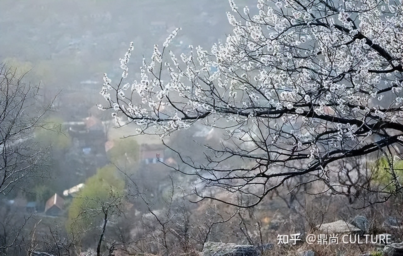 汾酒珍品,杏花村汾酒20年清香经典是什么酒