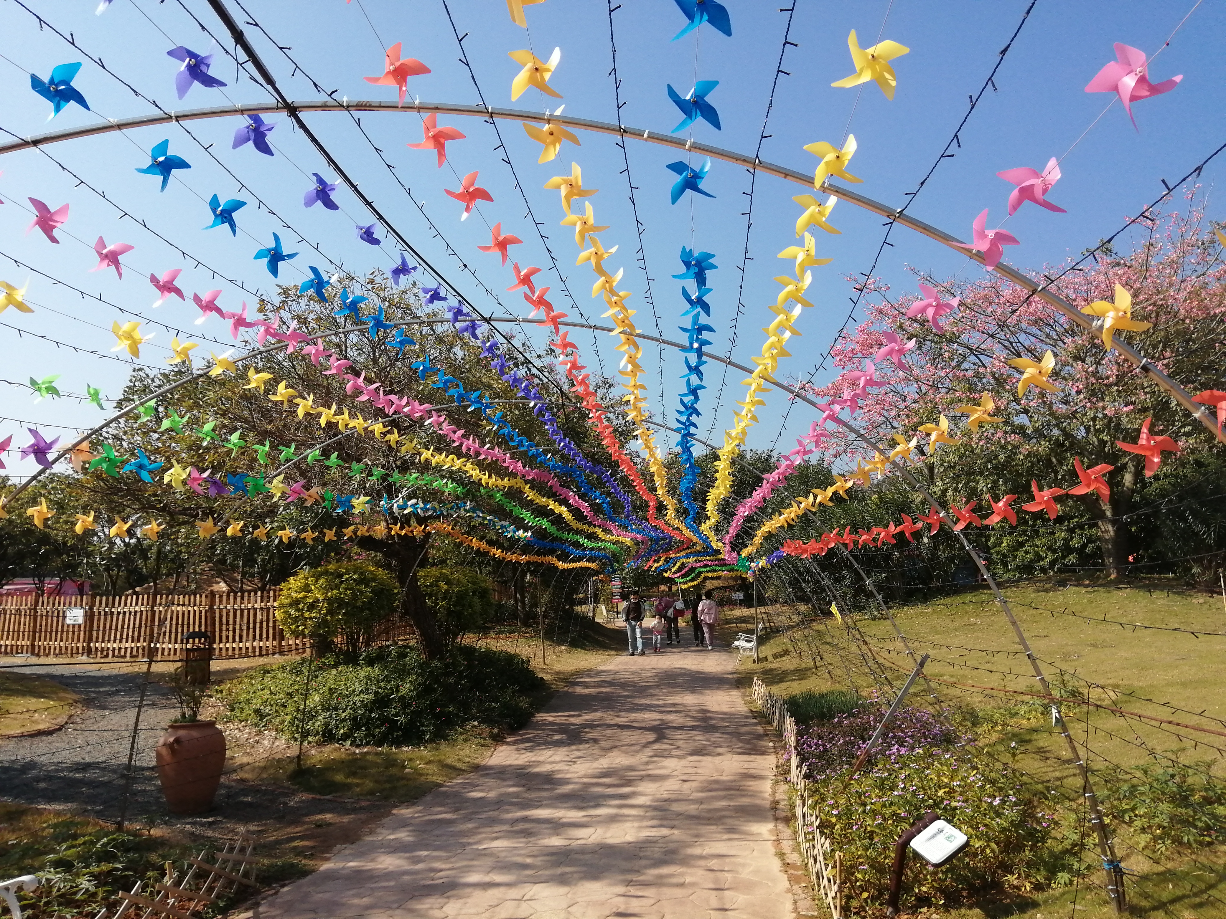 客天下(四):客天下田园花海CS战场山地车小朋友玩得乐不思蜀