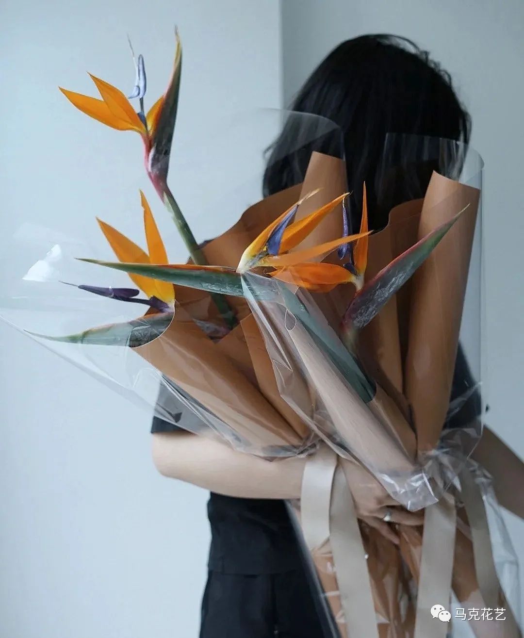 马克花艺｜送对花表对意，别让好心办坏事