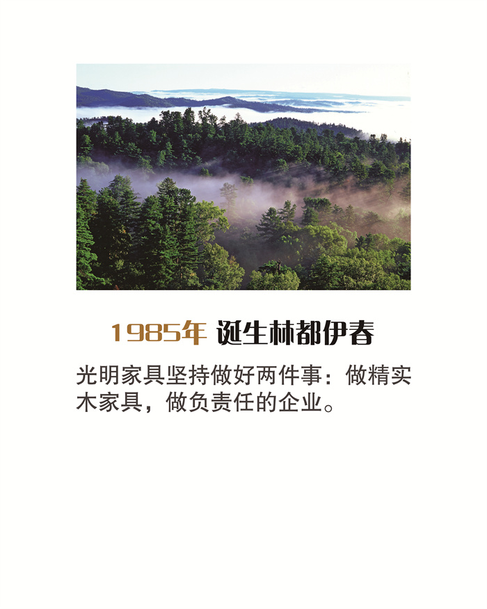 光明家具是哪里的品牌,光明家具官方旗舰店实木家具