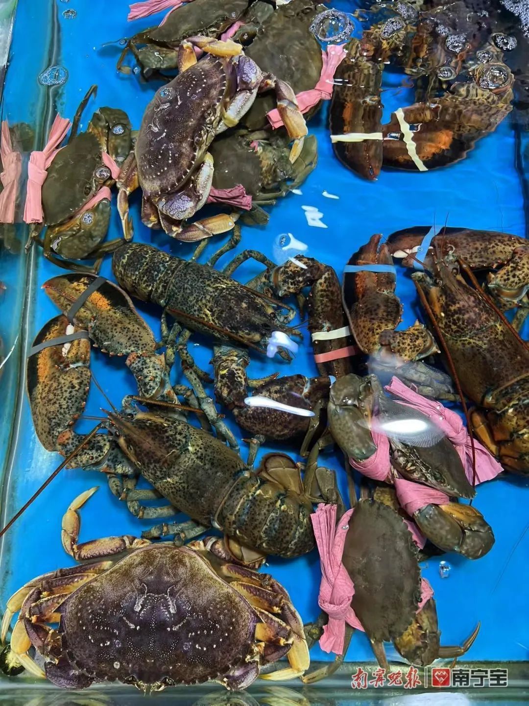 南宁哪个海鲜市场海鲜多便宜,南宁海鲜市场现状