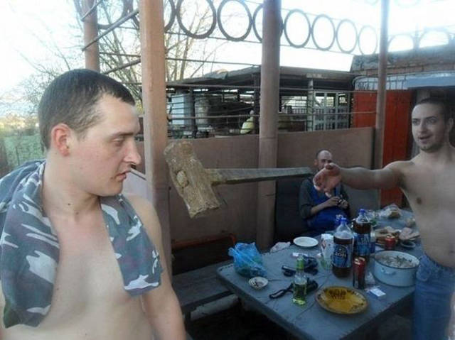 真实大象图片大全可爱,真实野生大象图片