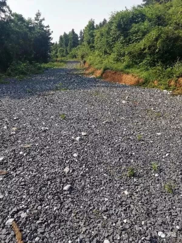 鐭虫湪灞卞,鐭虫湪瀵ㄥソ椋庡厜