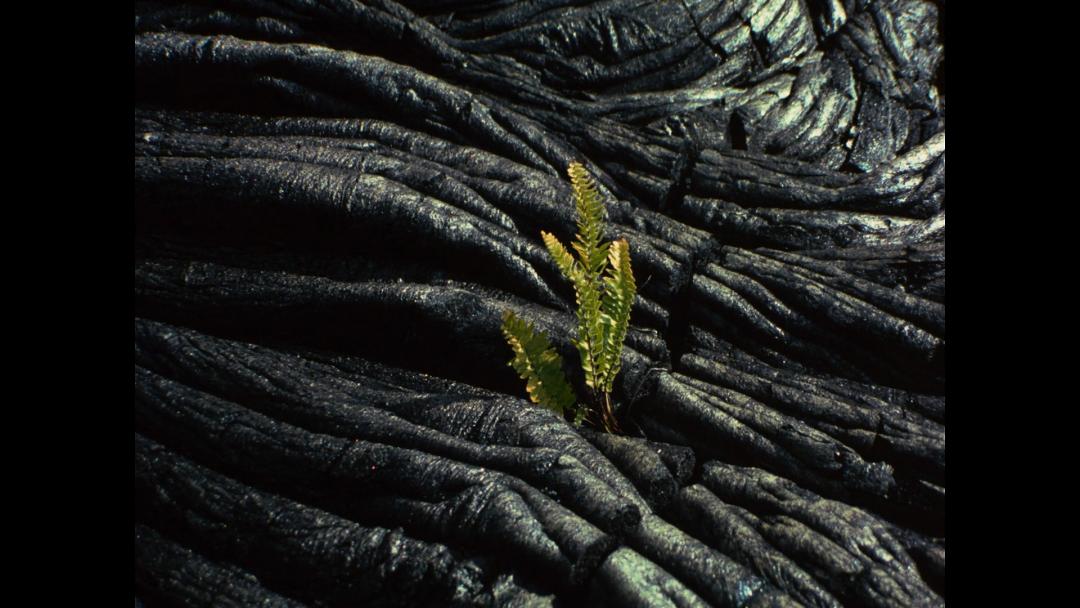 类似名创优品的品牌有哪些,一个品牌一个形象