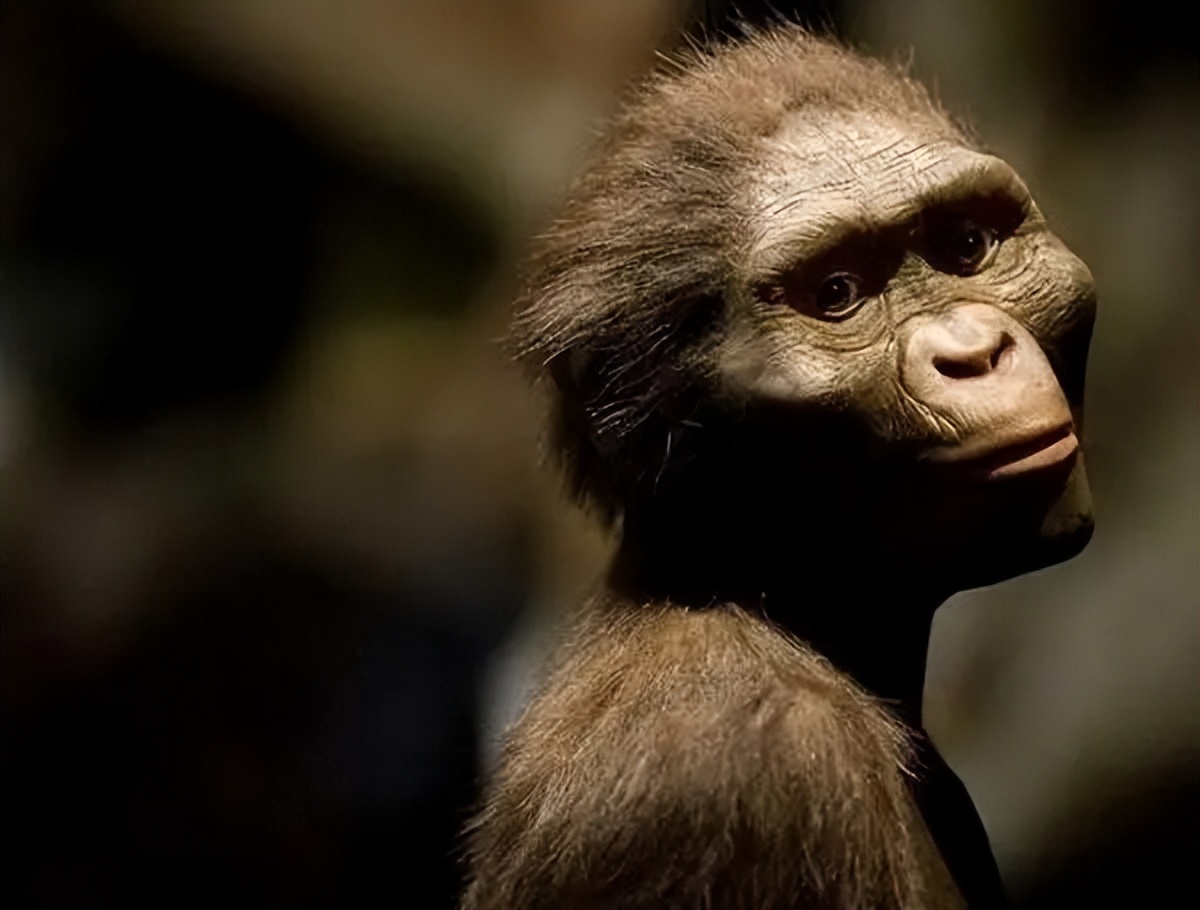 曾经无孔不入的虱子是怎么来的？为何如今很少看到了？