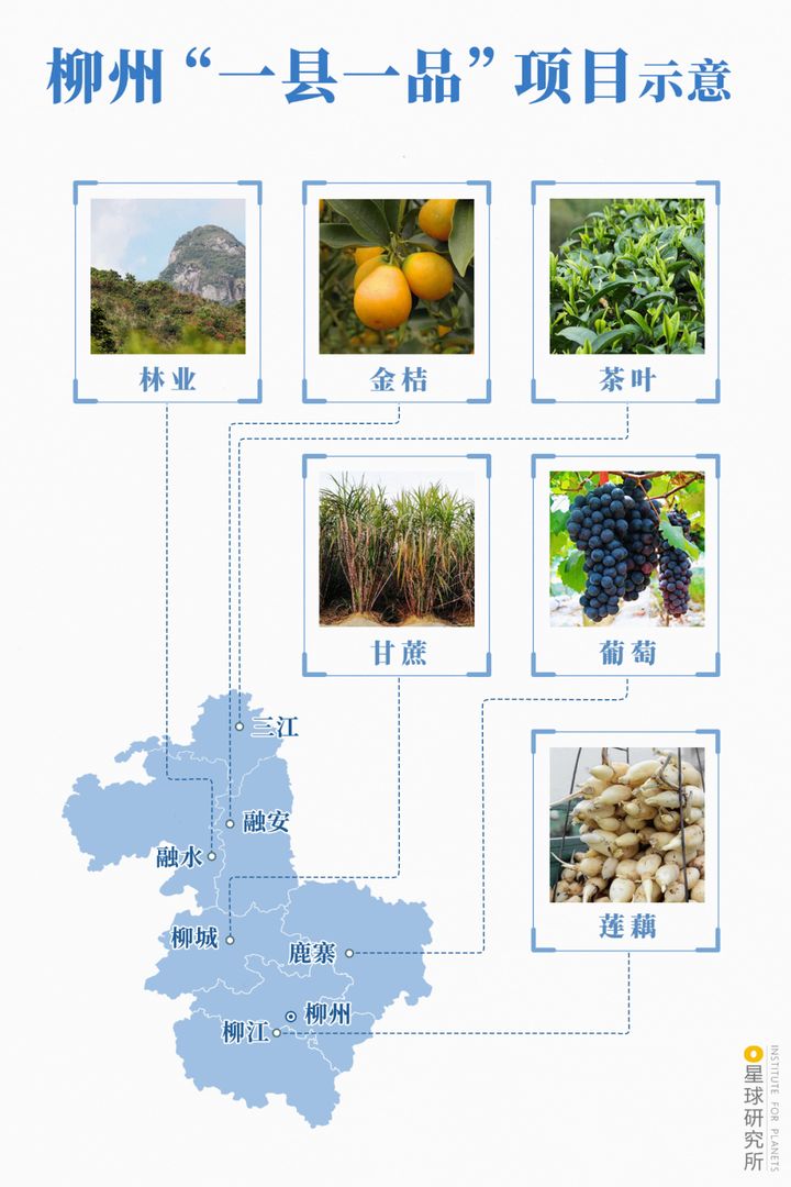 天天柳州,嗨啤柳州