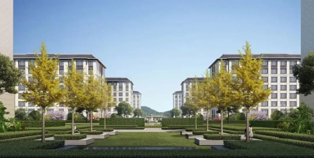 杭州三大开发商,杭州房产三巨头是哪三个