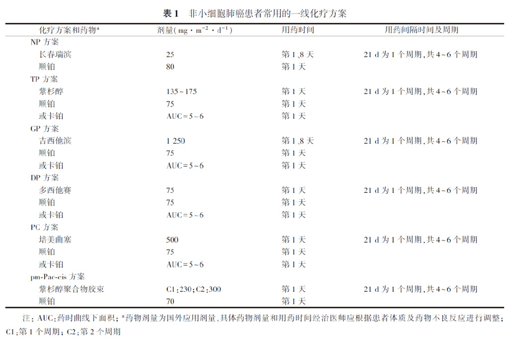 Ⅳ期原发性肺癌中国治疗指南（2023年版）