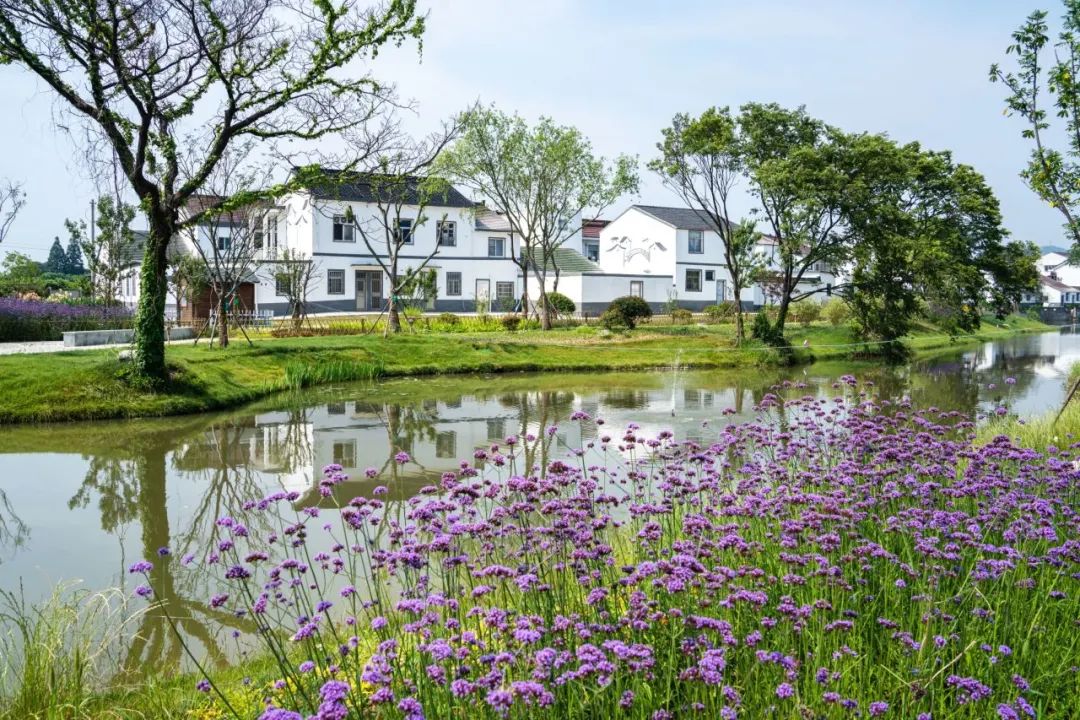 江苏省特色田园乡村名单公布,省级特色田园乡村标准