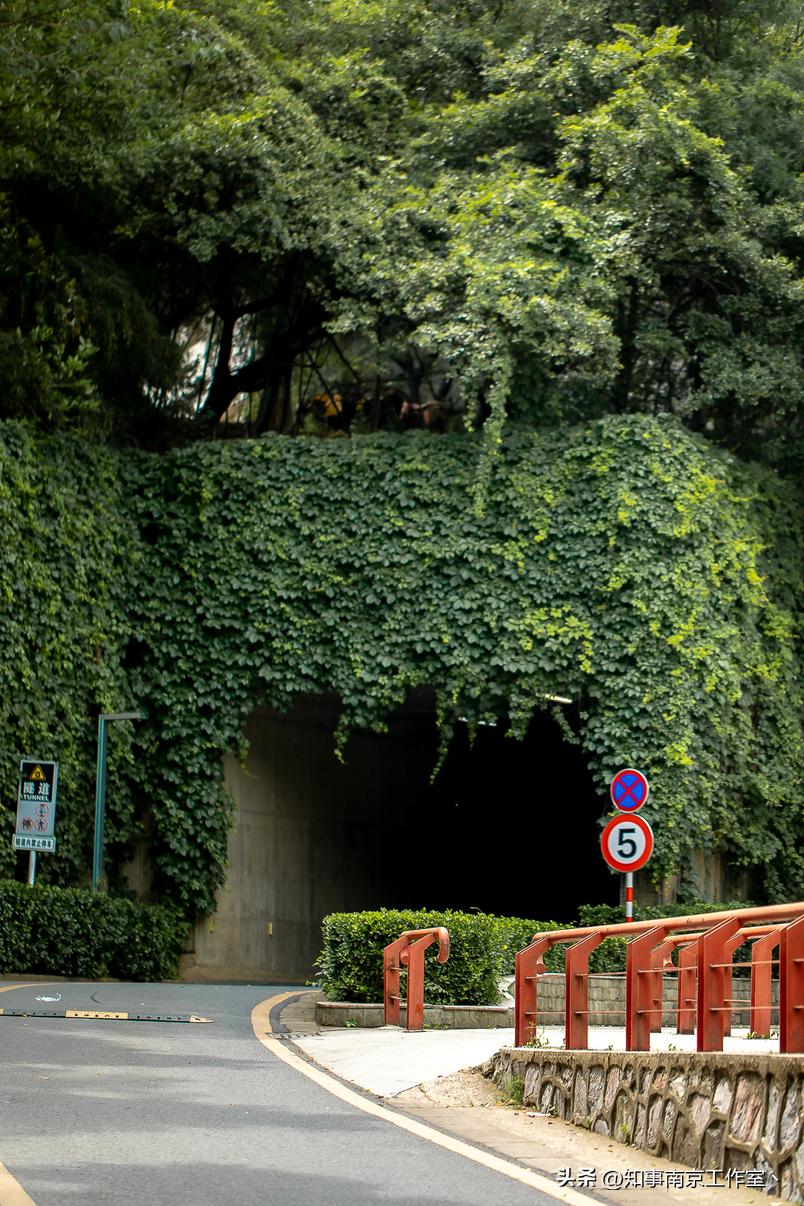 南京艺术学院520,南京艺术学院爱上你