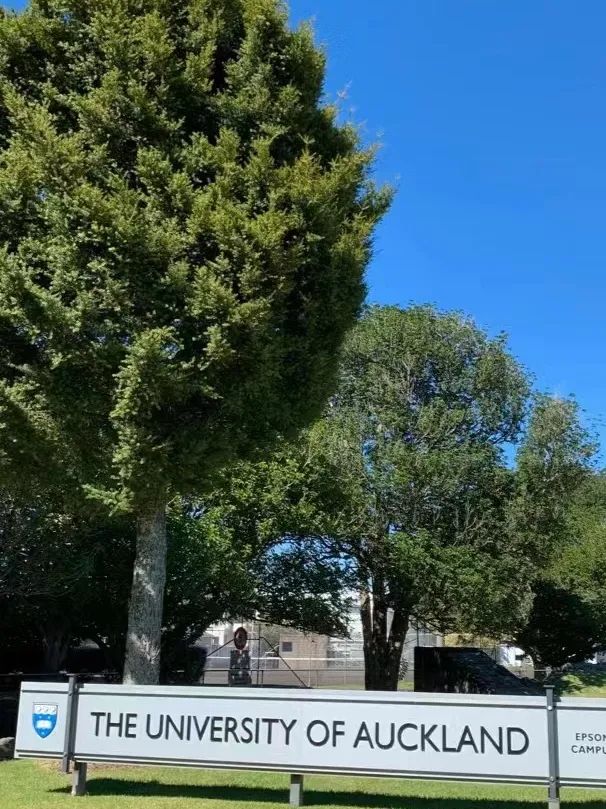 40宀佷互涓婄暀瀛︽柊瑗垮叞鎴愬姛,39宀佸幓鏂拌タ鍏扮暀瀛﹁繕鏈夋満浼氬悧