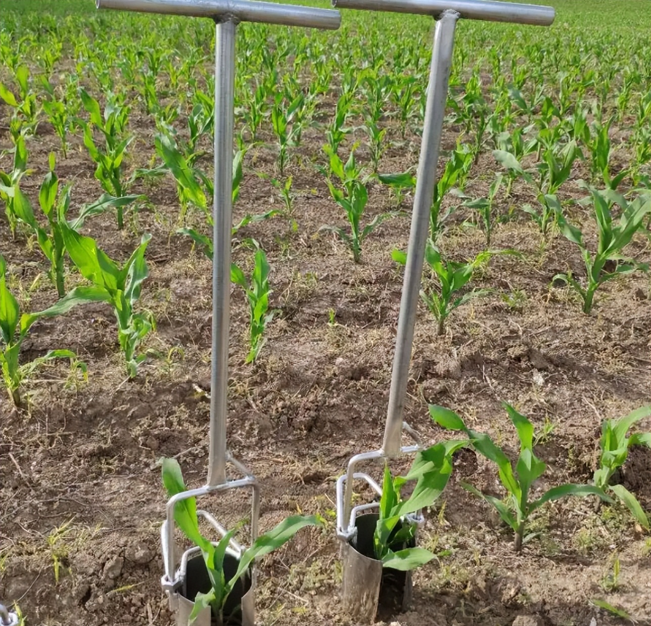 农村灌溉神器远程高压喷灌,田间自动灌溉水泵