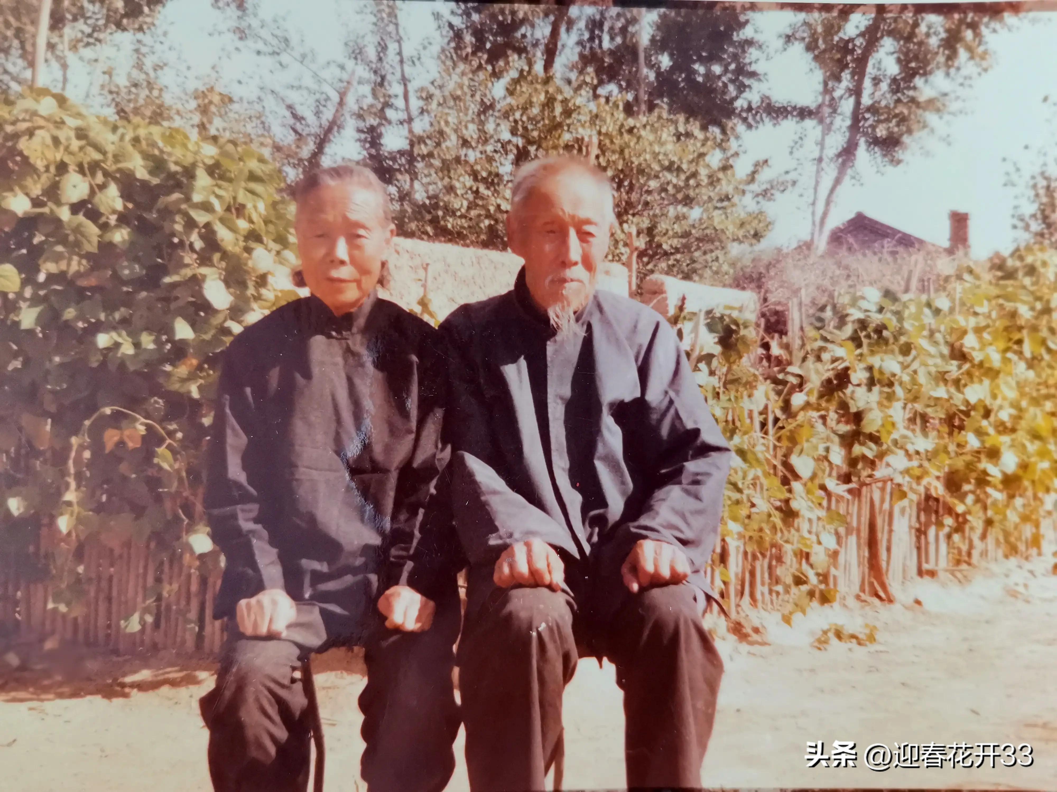 濂跺ザ鐖卞吇鐨勮姳,鐖卞吇鑺辩殑鑰佸お澶吇鐨勮姳鐪熷ソ