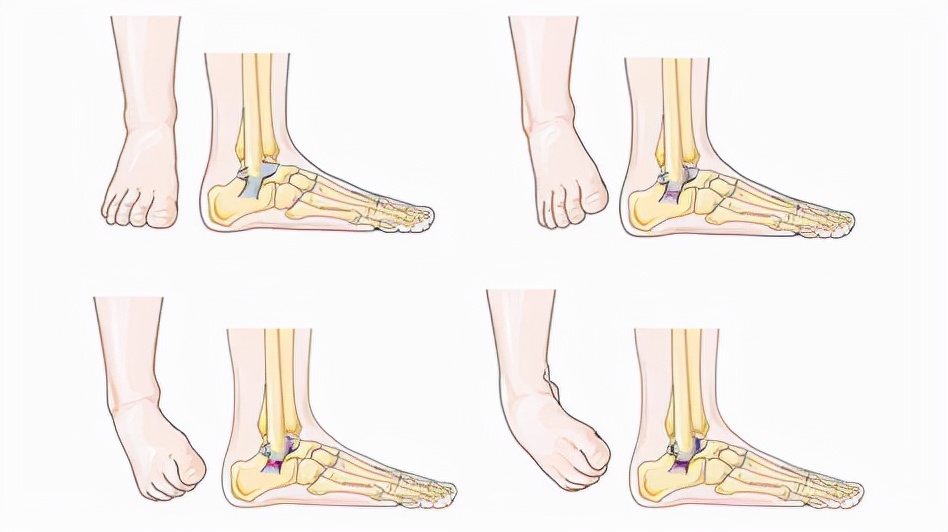 一双好的鞋垫有什么作用,最好的鞋垫是什么鞋垫