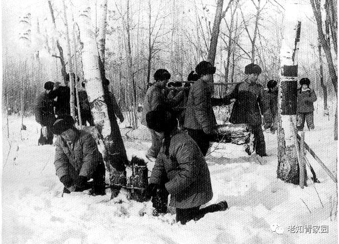 北大荒知青生活叙事诗——北大荒“游击词”100篇