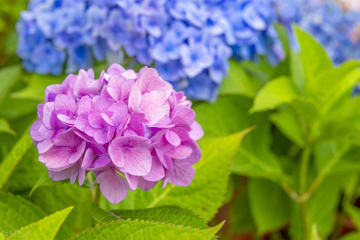 一个人开始走下坡路的10种征兆,人走下坡路前的10个征兆