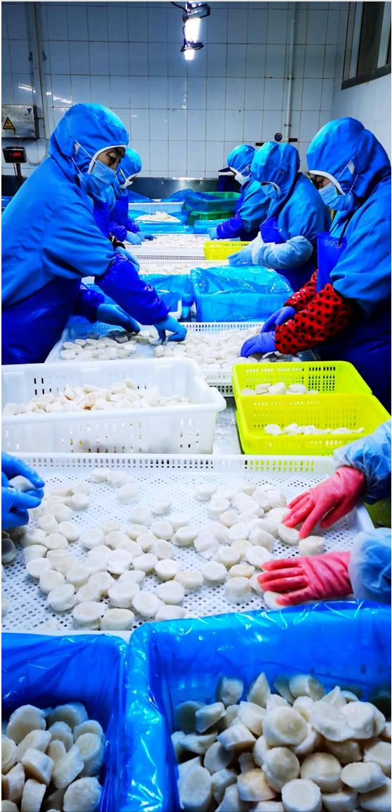 《我要创业的理由》-大连海边的岩岩小姐姐