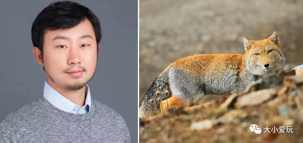 从科普到各学科，我们为孩子集齐了B站最强学习资源！记得收藏