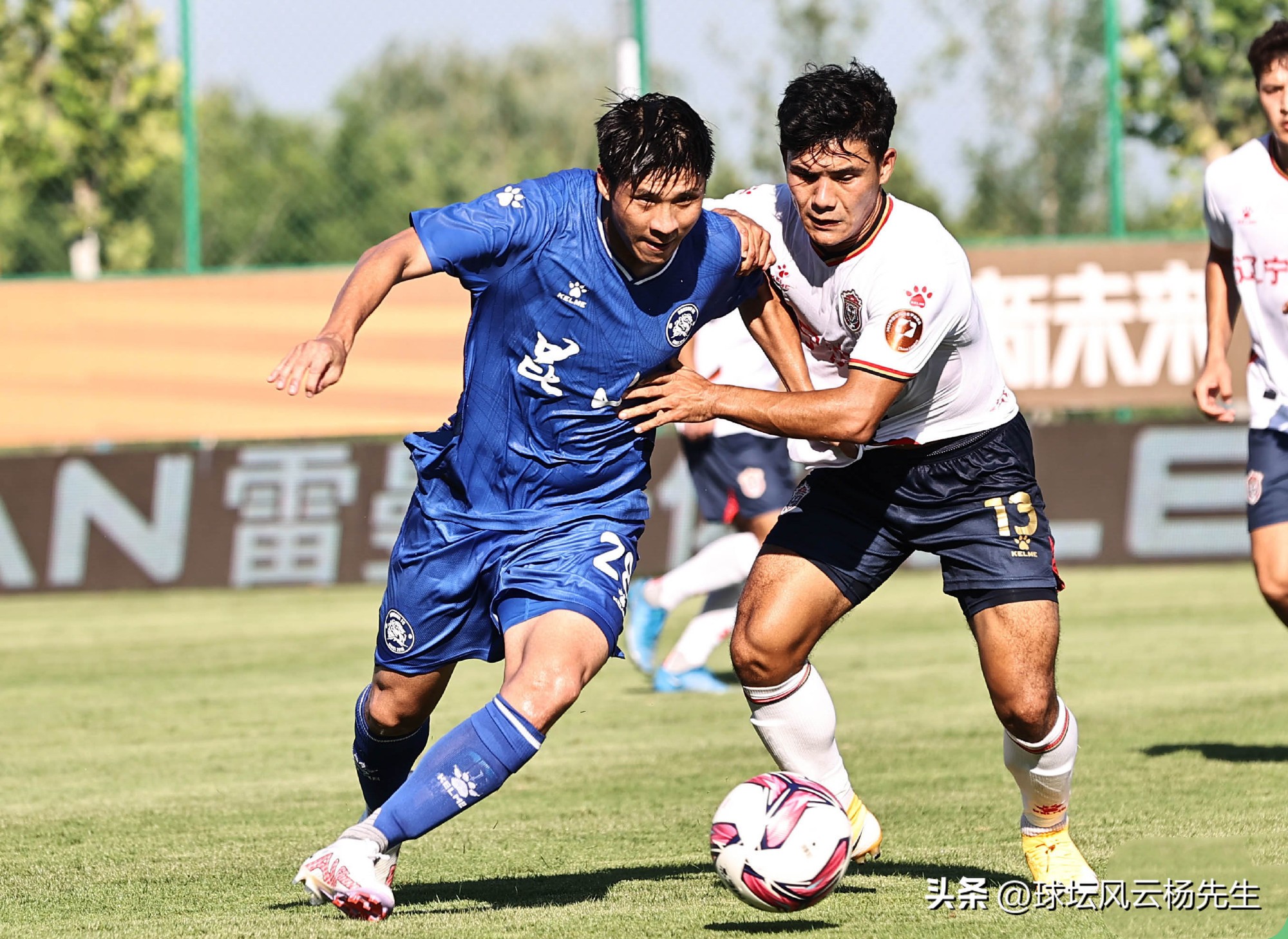 青岛海牛vs淄博蹴鞠直播,山东爆冷辽宁排球