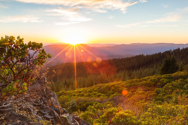 属猴的人适合和什么属相谈恋爱,生肖猴一生最亲的人是谁
