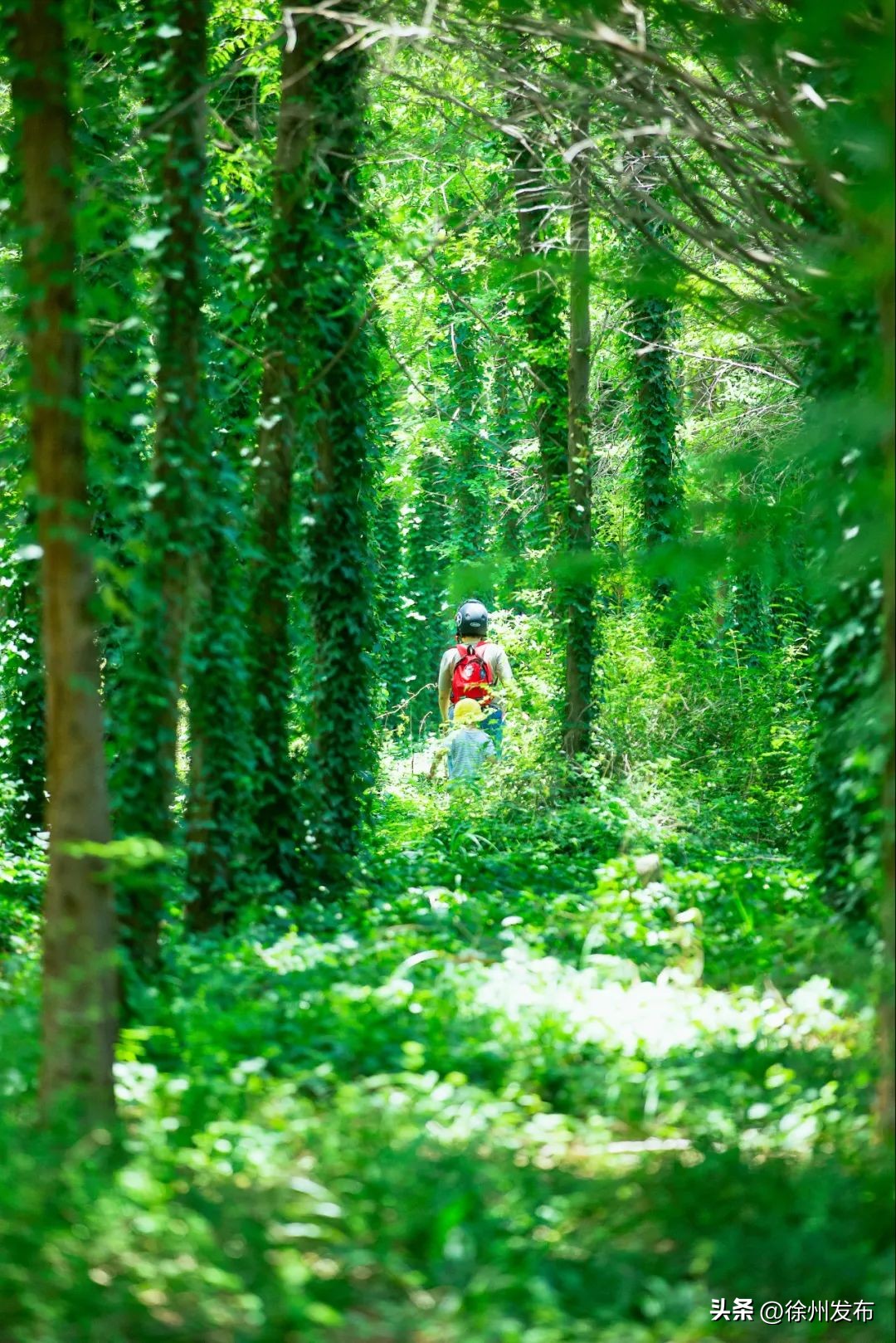 非凡十年|推开窗户见花园，走出家门逛公园