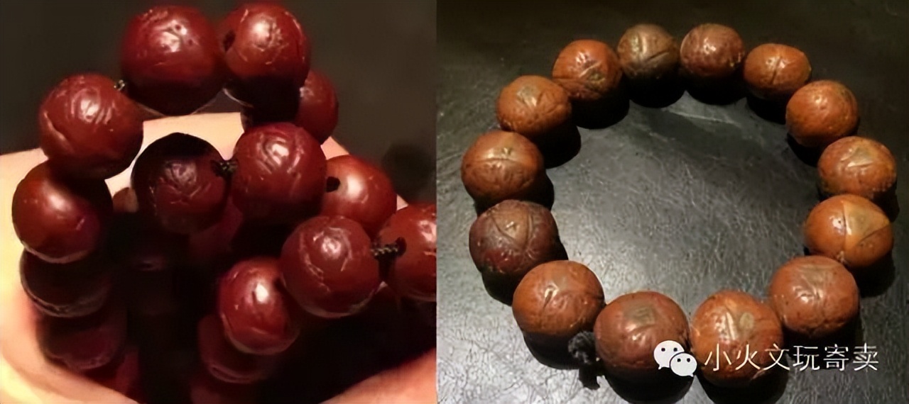 凤眼菩提20天效果,2023年凤眼菩提