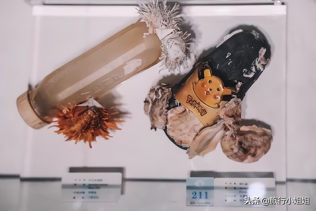 夏日海边微醺氛围感,滨城风光秀丽浪漫气息爆表