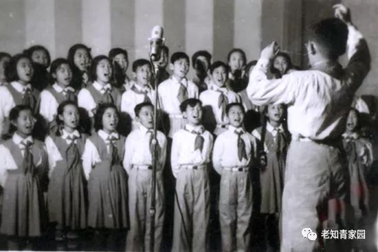 50年代的少年,50年代的人成长经历