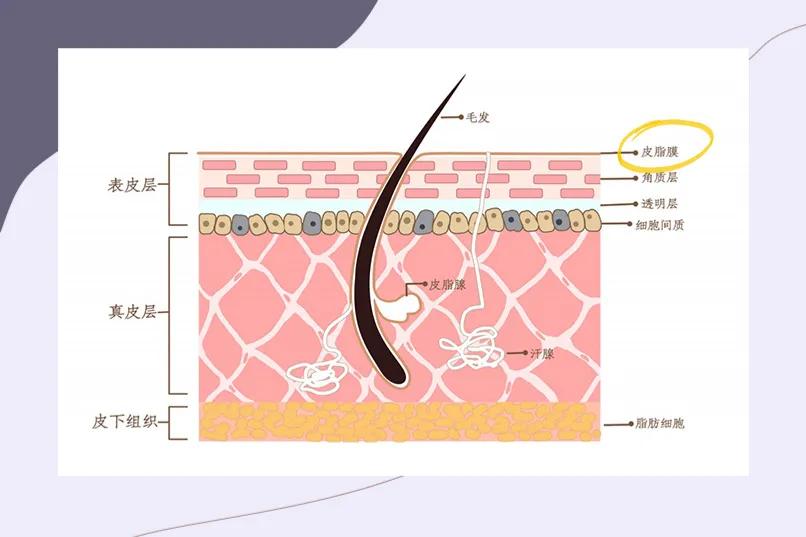 护肤毁脸的十大误区,护肤烂脸