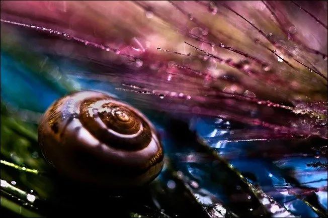 100幅经典摄影作品欣赏,100幅精品摄影图