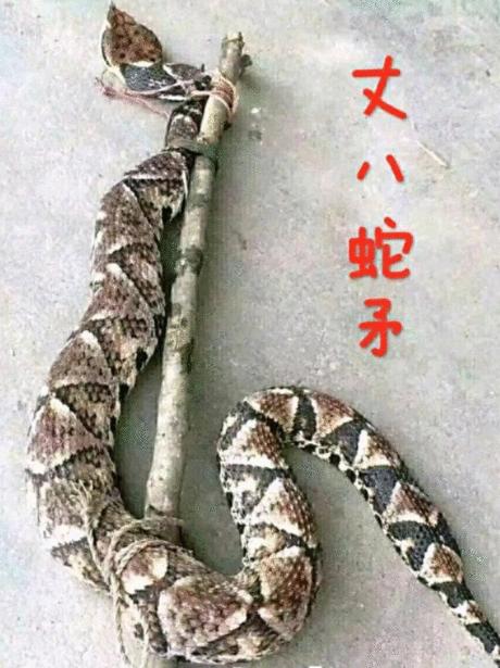 十六国之汉赵帝国：刘曜平定秦州，臣服凉州，放眼益州