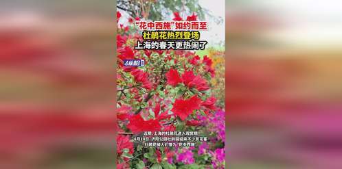 安徽小伙开着挖掘机去西藏,安徽小伙自驾挖机