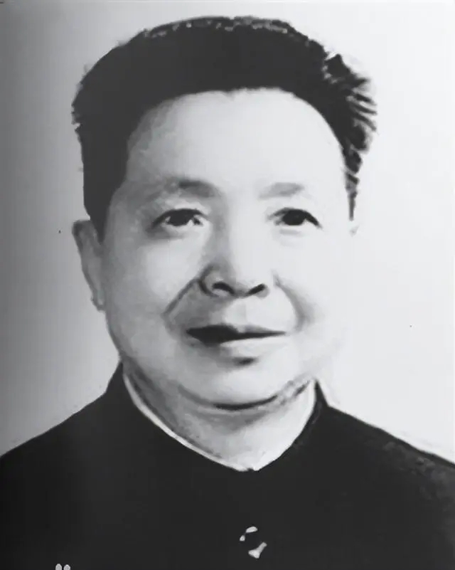 谭启龙回忆陈老总说庆祝会、斗争会、追悼会叶飞纵队参加宿北战役