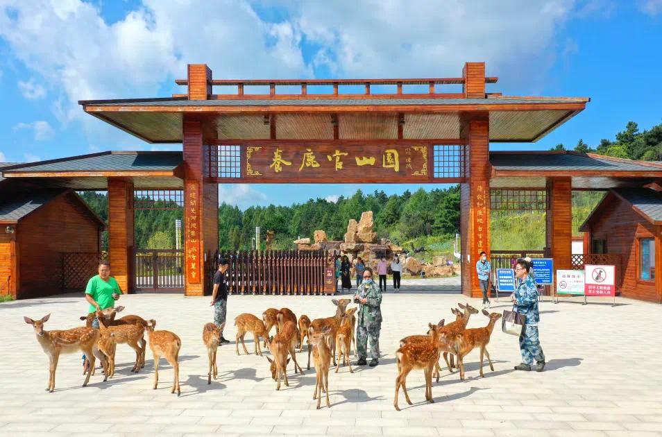 性价比超高的出行的地方,性价比更高最美景点推荐