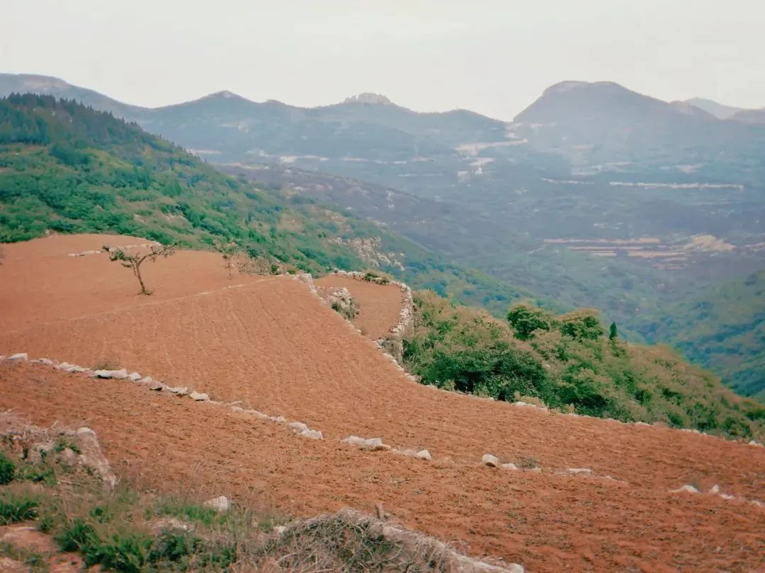 今天去山里住！济南这几家神仙民宿太治愈