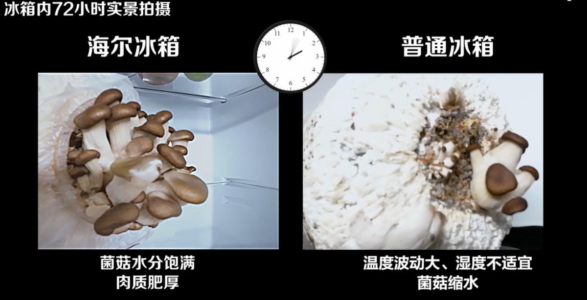 海尔的感恩月，用户的幸福日