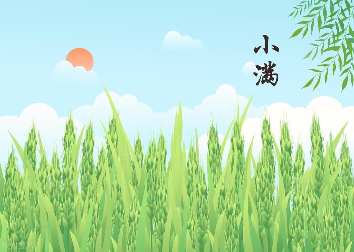 明日小满，为什么没有“大满”？“今年小满逢卯日”，怎么理解？