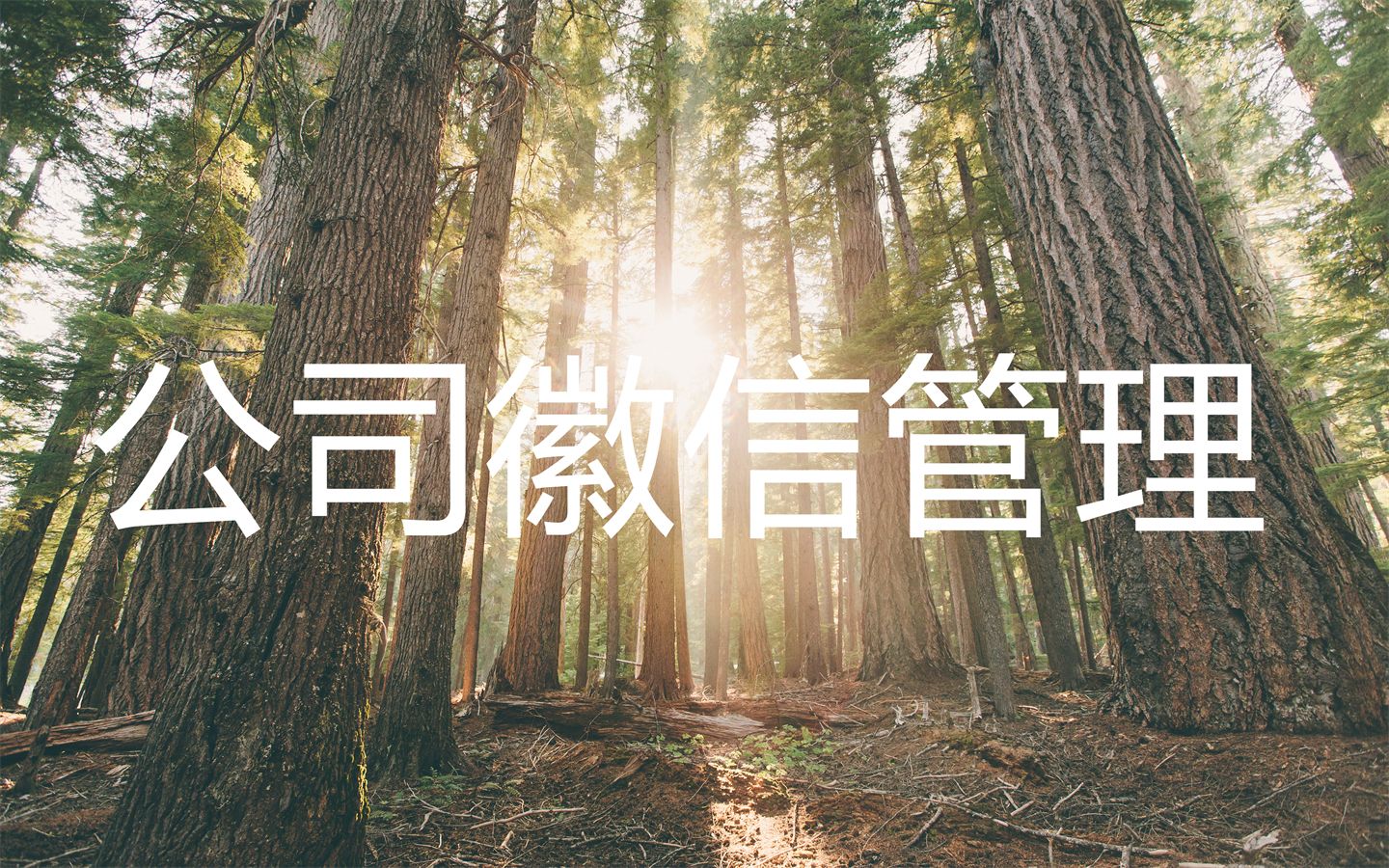 如何玩转企业微信营销,企业微信营销技巧与方法