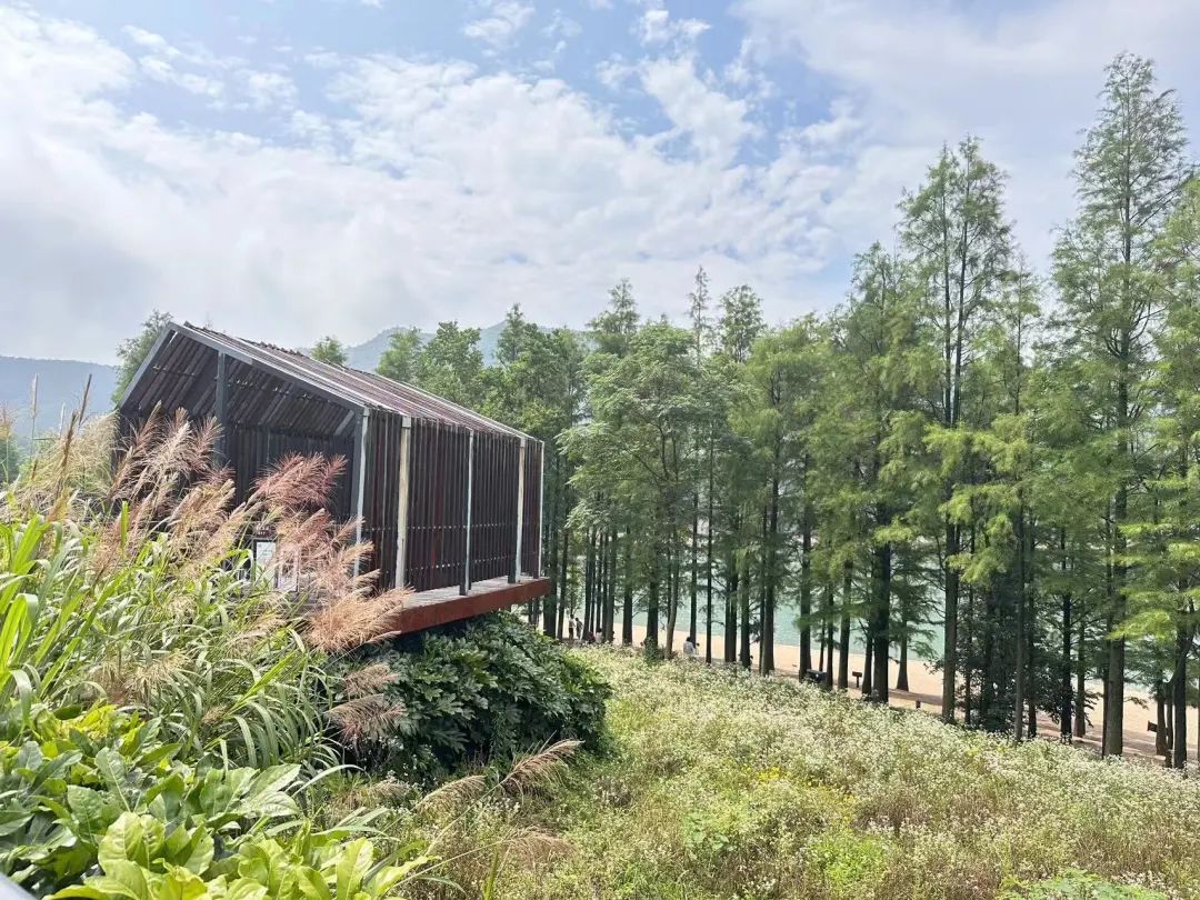 三伏天去苏杭旅游,冬季带小孩杭州攻略经典二日游