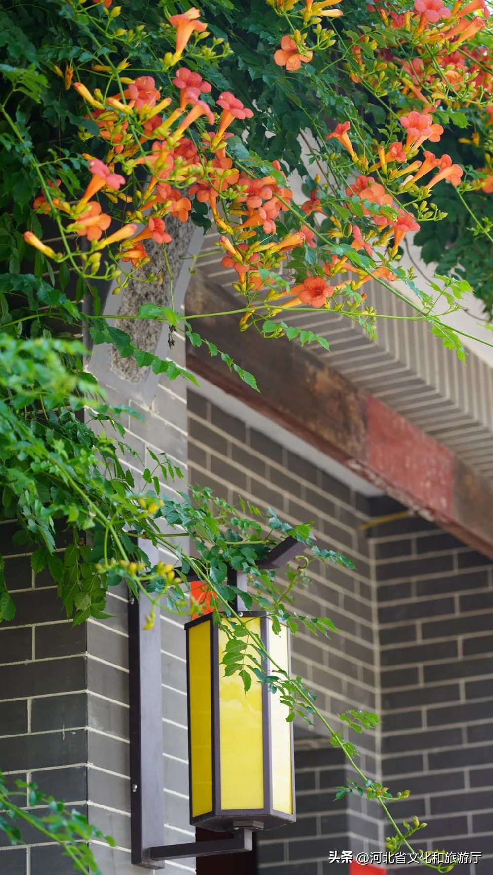 印章打卡旅游,正定博物馆盖章攻略